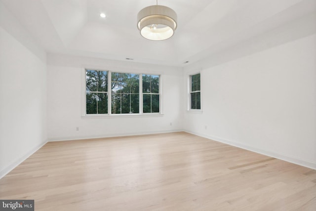 empty room with a tray ceiling and light hardwood / wood-style flooring