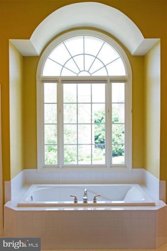 bathroom with plenty of natural light and a garden tub