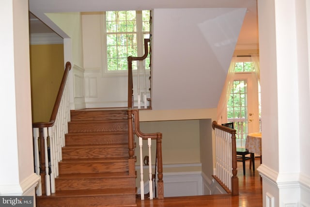 stairs with a decorative wall, a healthy amount of sunlight, crown molding, and wood finished floors