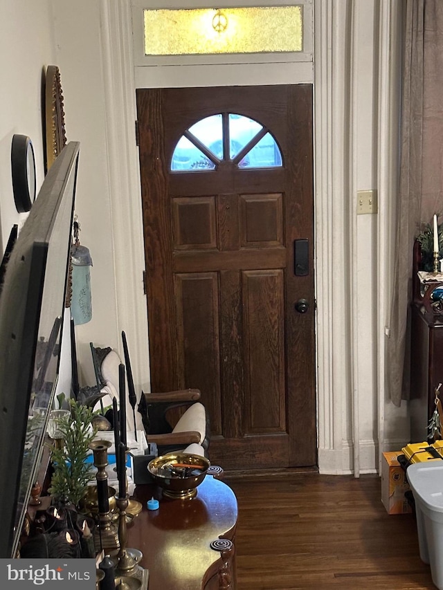 foyer with dark wood-type flooring