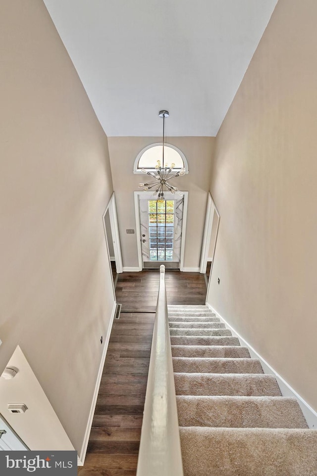 foyer entrance featuring a notable chandelier, dark hardwood / wood-style flooring, and a high ceiling