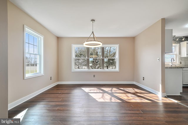 unfurnished dining area with dark hardwood / wood-style flooring and sink