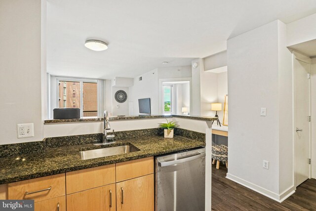 kitchen featuring dark wood-type flooring, stainless steel dishwasher, dark stone countertops, and sink