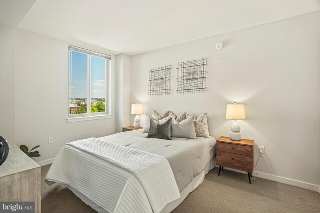 view of carpeted bedroom