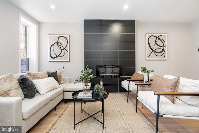 living room with hardwood / wood-style floors