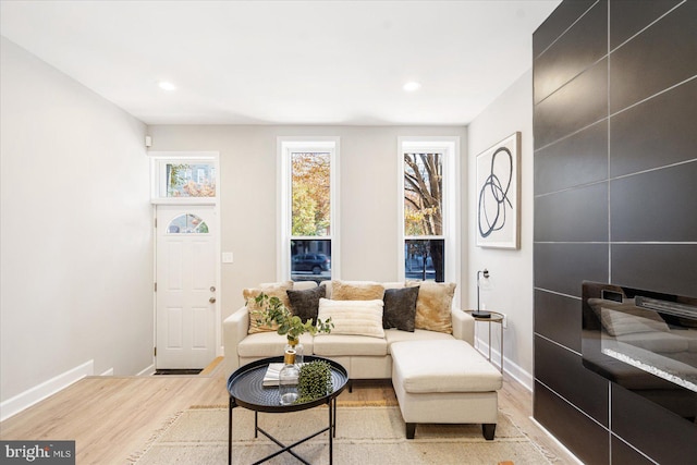 living room with light hardwood / wood-style floors