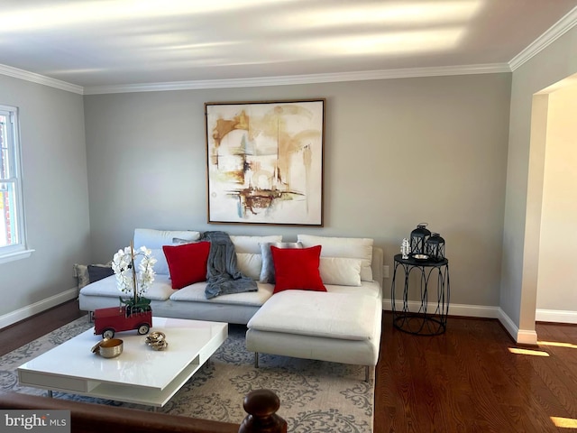 living room with dark hardwood / wood-style floors and ornamental molding