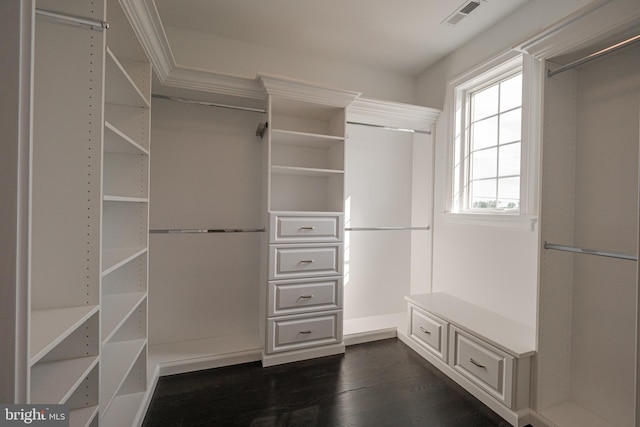 walk in closet with dark hardwood / wood-style flooring