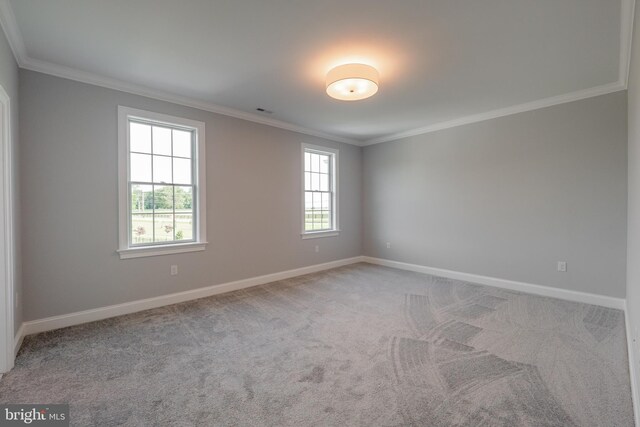 unfurnished room featuring carpet floors and crown molding