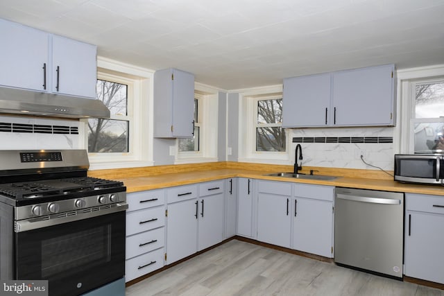 kitchen featuring a healthy amount of sunlight, sink, stainless steel appliances, and light hardwood / wood-style flooring