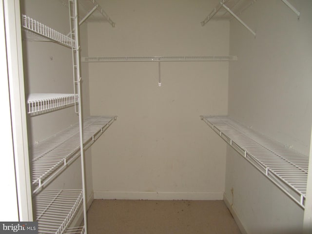 view of walk in closet