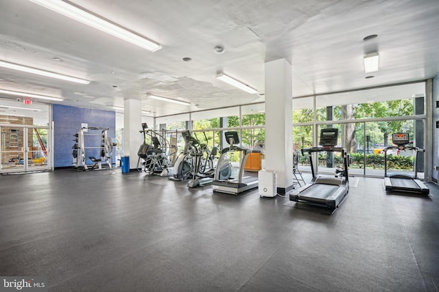 exercise room with expansive windows