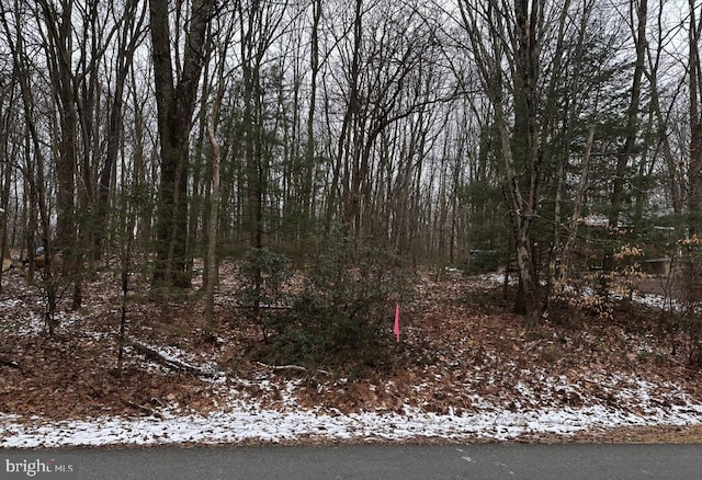 Lake Ln, White Haven PA, 18661 land for sale