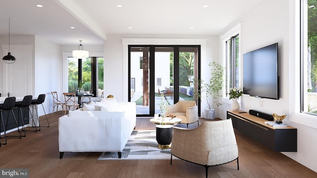 living room with dark hardwood / wood-style flooring