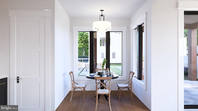 dining room featuring dark wood-type flooring