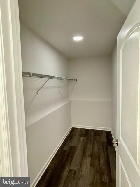 walk in closet with dark hardwood / wood-style floors