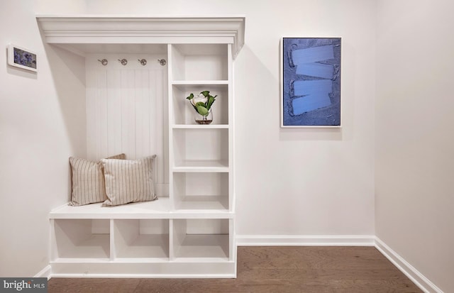 mudroom featuring dark hardwood / wood-style floors