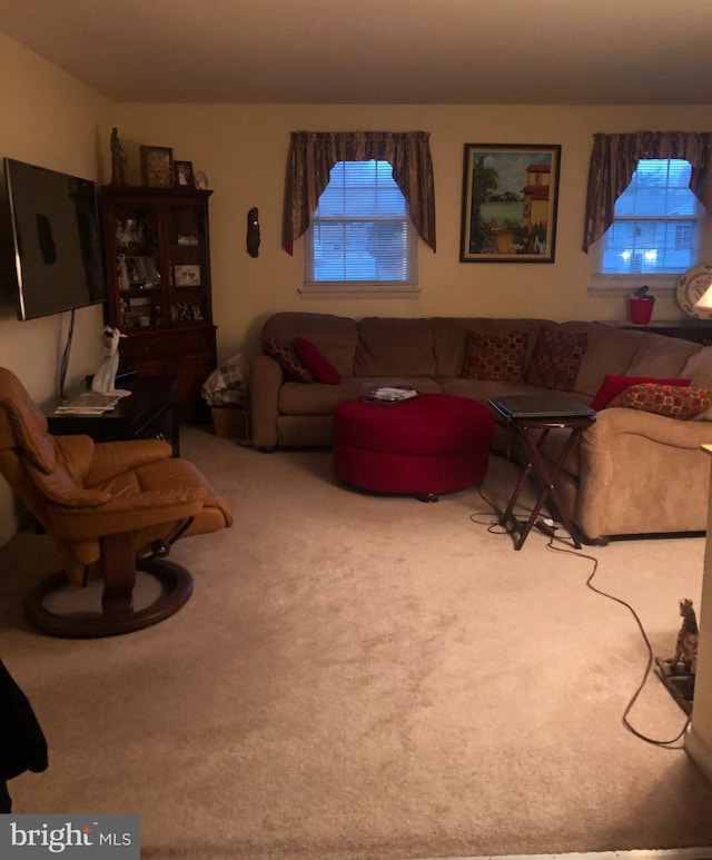 view of carpeted living room