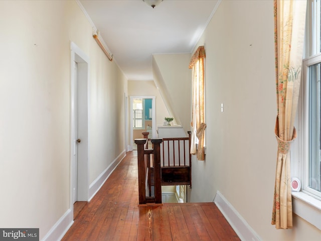 corridor with dark hardwood / wood-style flooring and crown molding