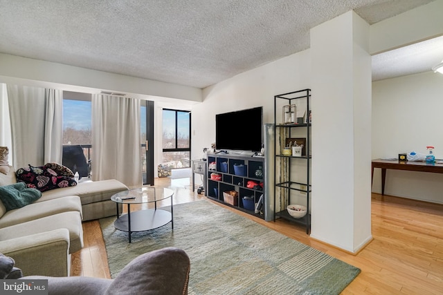 living room featuring hardwood / wood-style floors and a textured ceiling