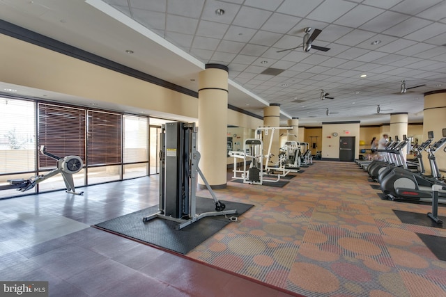 exercise room featuring ceiling fan, a drop ceiling, and ornamental molding