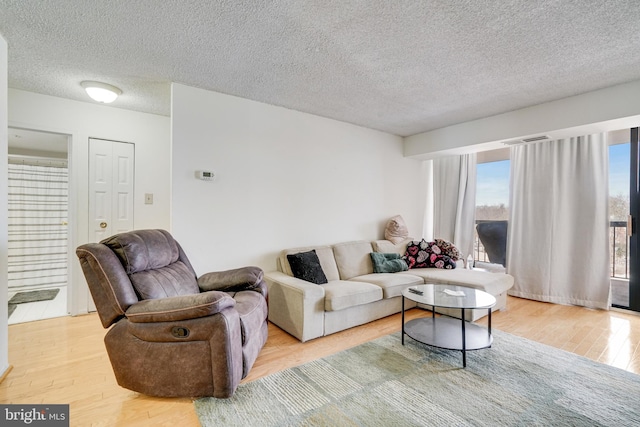 living room with a textured ceiling and light hardwood / wood-style flooring