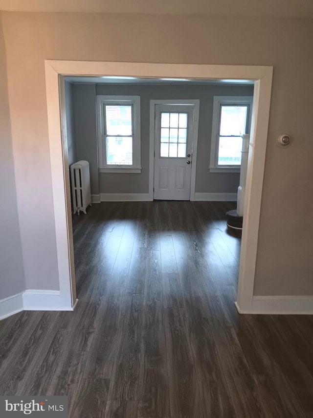 foyer entrance featuring radiator and dark hardwood / wood-style flooring