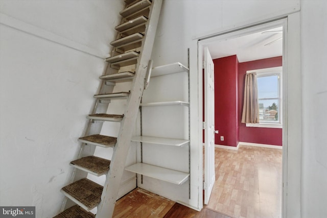 stairway featuring wood-type flooring