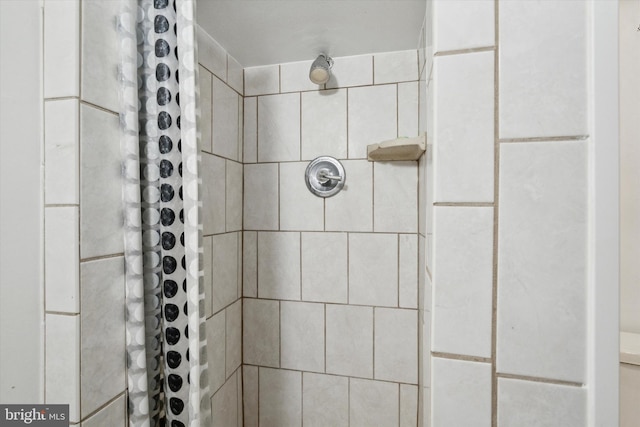 bathroom featuring a shower with shower curtain