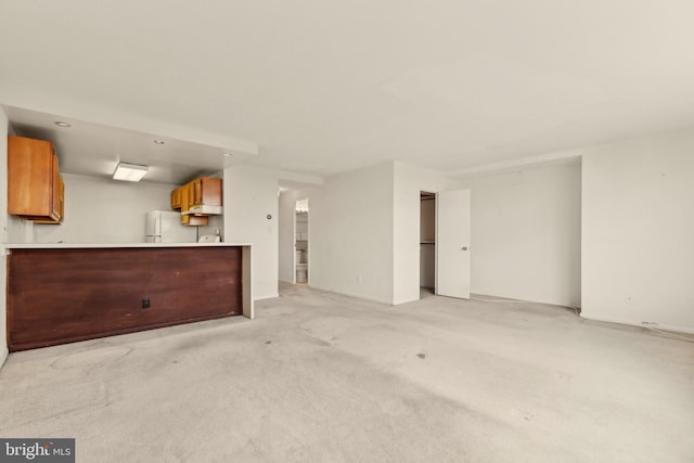 unfurnished living room featuring light colored carpet