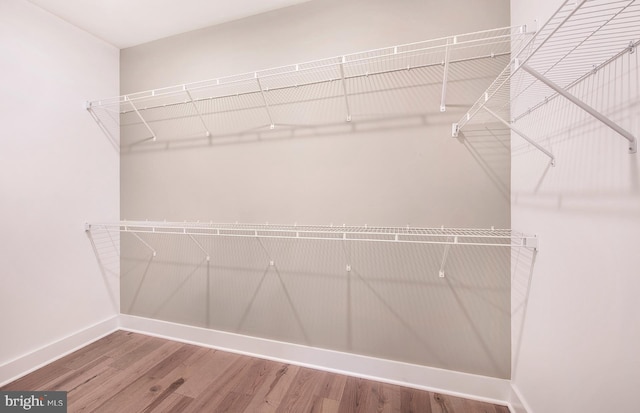 spacious closet with wood-type flooring