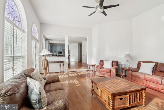 living room with ceiling fan and wood-type flooring