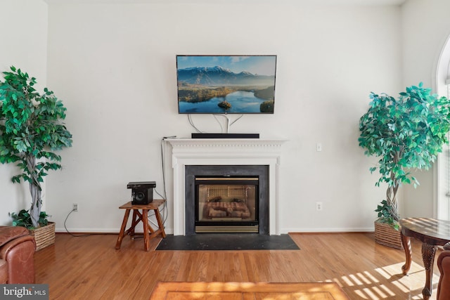 living room featuring wood-type flooring