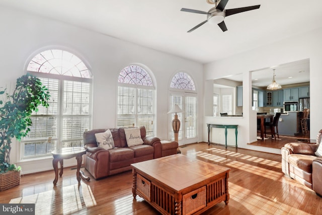 living room with ceiling fan and wood-type flooring