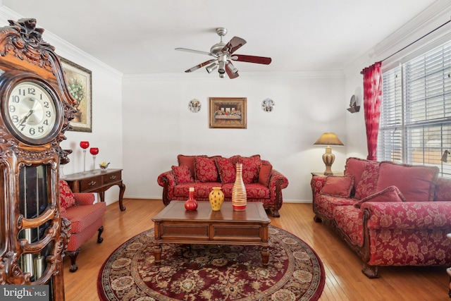 living room featuring ceiling fan, ornamental molding, and light wood-type flooring