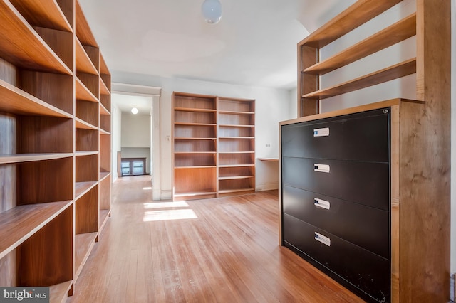 spacious closet with light wood-type flooring