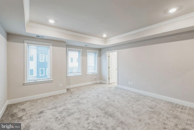 spare room featuring a tray ceiling and ornamental molding