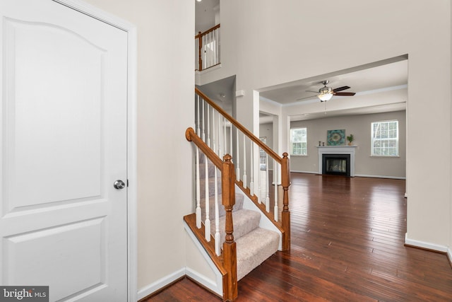 stairs with wood-type flooring, ornamental molding, and ceiling fan