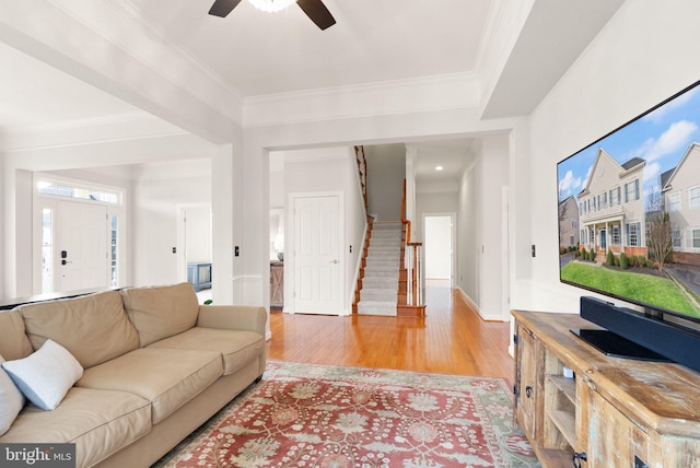 living room featuring ceiling fan, light wood-type flooring, and crown molding