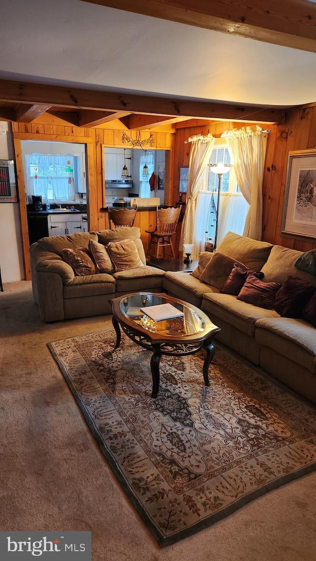 living room featuring carpet flooring, wood walls, and beam ceiling