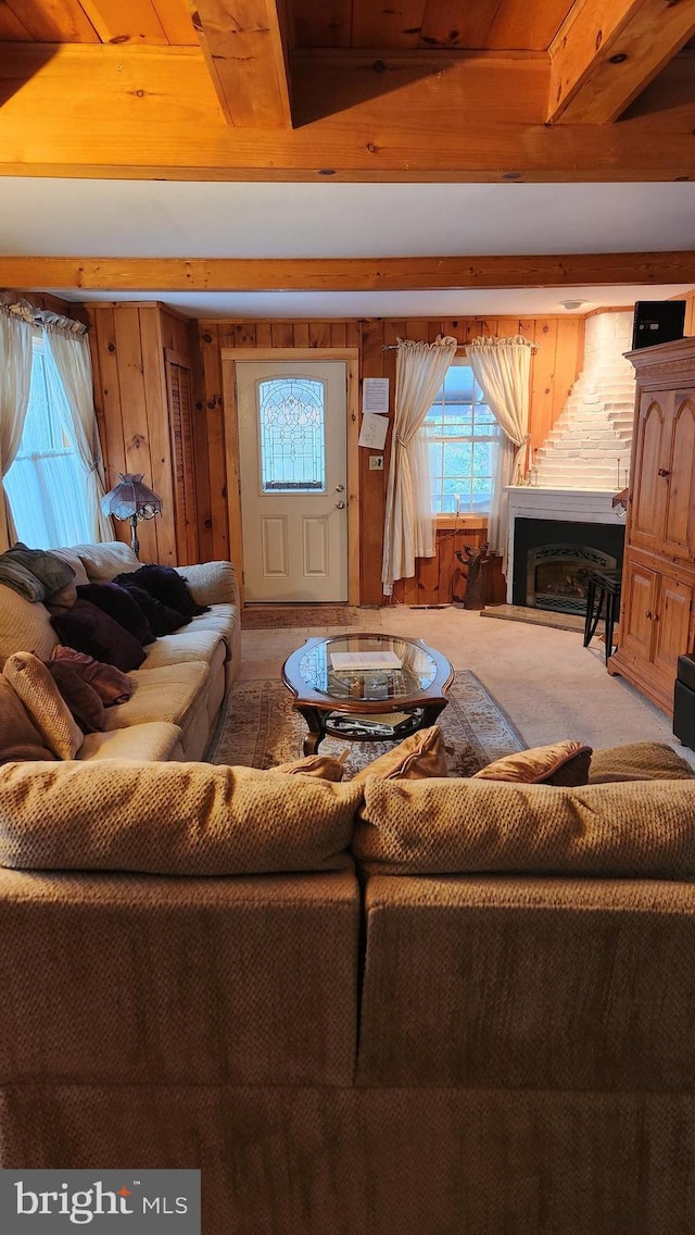 living room with wooden walls and carpet floors