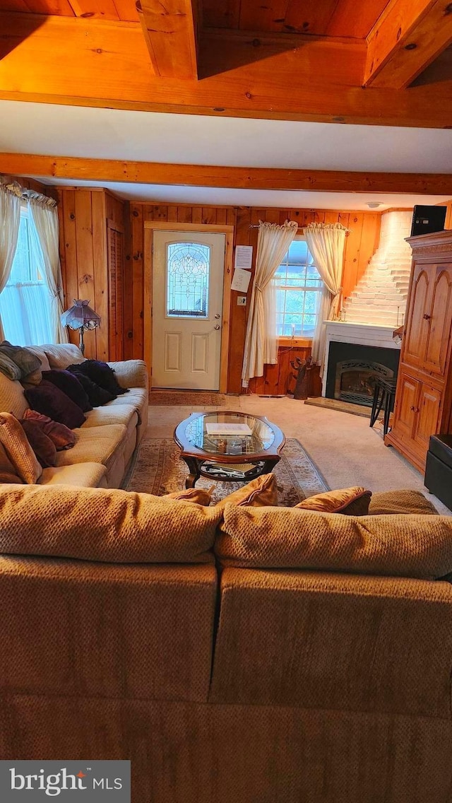 living room featuring carpet flooring and wooden walls