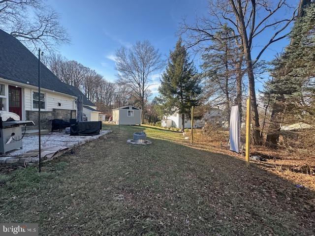 view of yard with a patio area and a storage shed