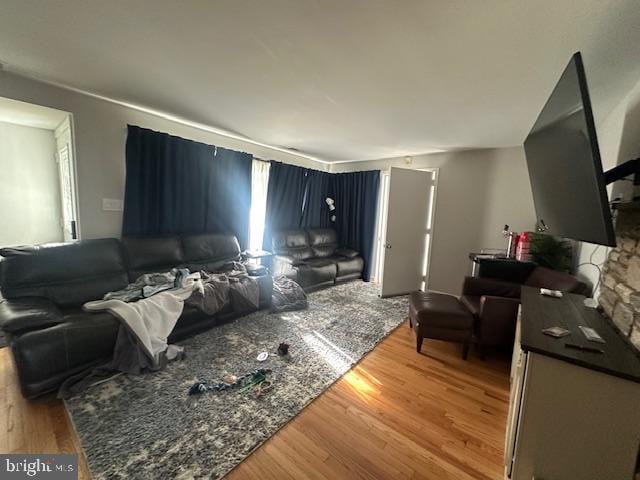 living room featuring light hardwood / wood-style floors