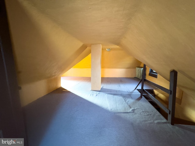 additional living space featuring carpet, a textured ceiling, and vaulted ceiling