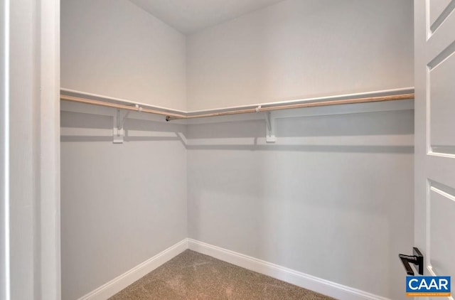 spacious closet with carpet floors