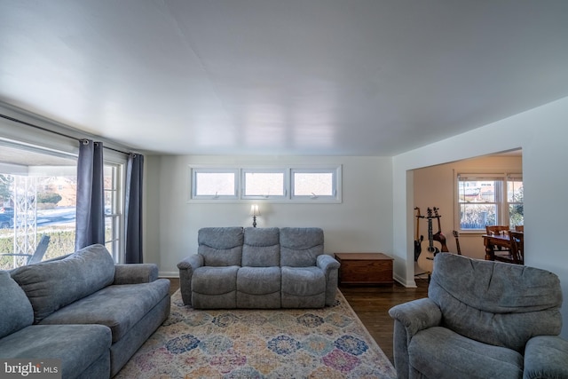 living room with wood-type flooring