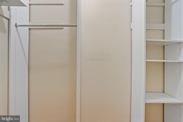 view of closet