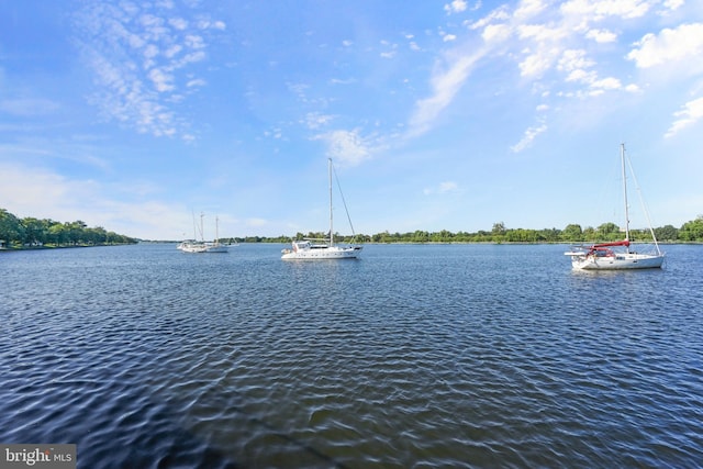 water view featuring a dock