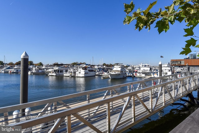 dock area with a water view